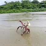 Recanto Folha Seca Praia Dura Chale 1