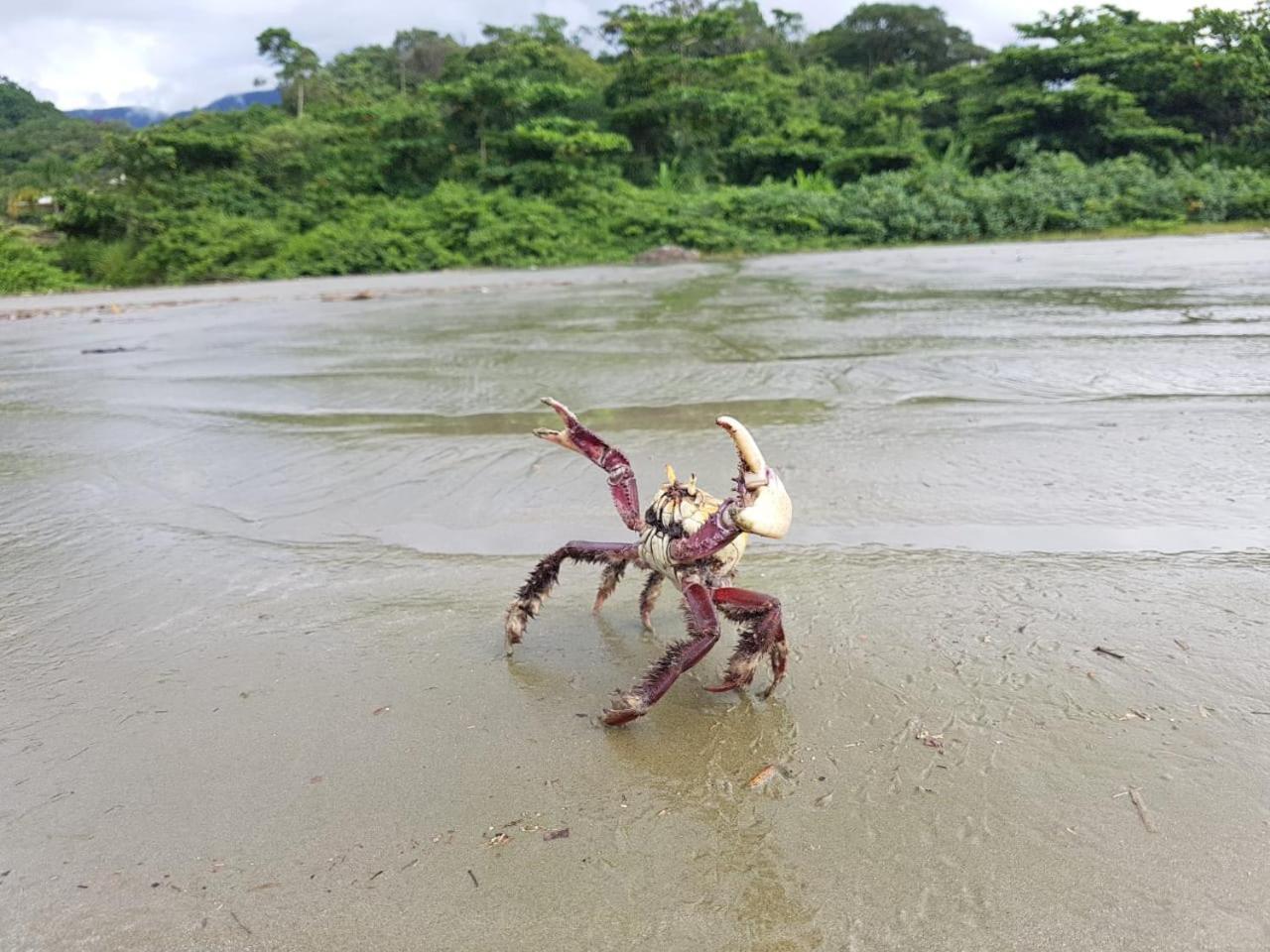 Alojamento Recanto Folha Seca Praia Dura Chale 1 *